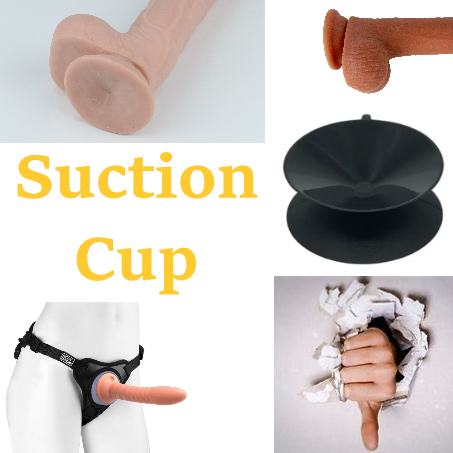 Suction Cup