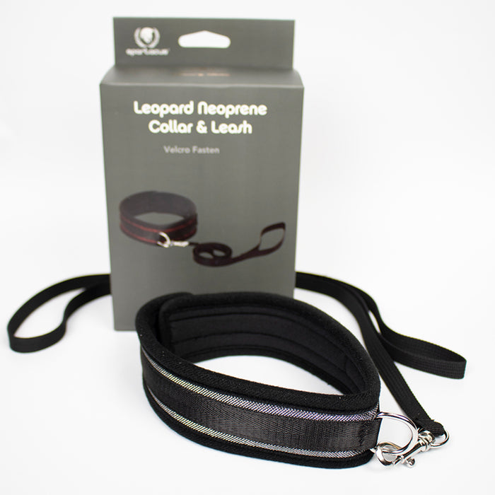 Spartacus Collar And Leash Neoprene Silver